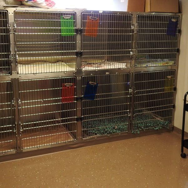 Dog Recovery Suites