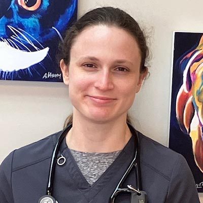 Dr Brooks