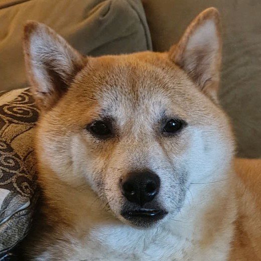 Maggie