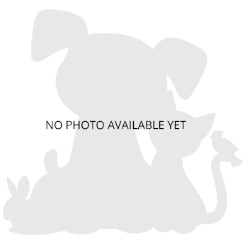 NOPHOTO