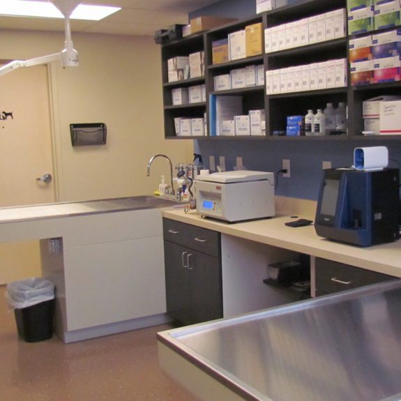 Treatment Areas